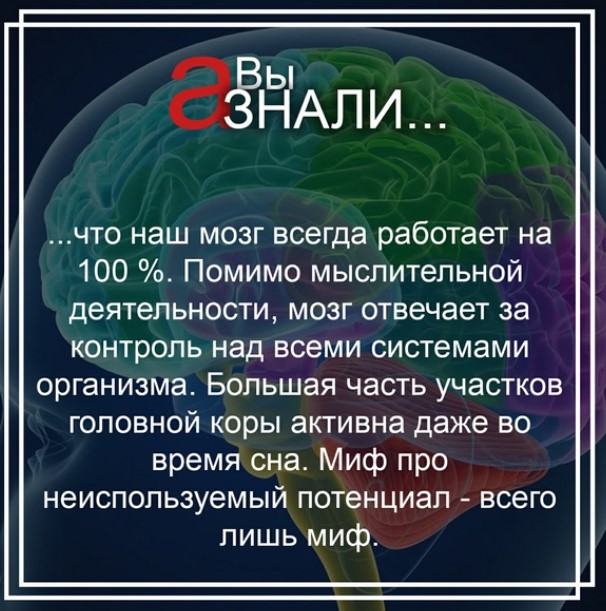 ВК Любопытно Мозг человека