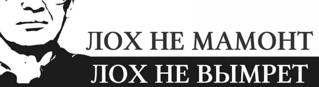 лох EVO Agency отзывы