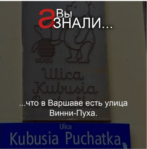ГРУППА ВКОНТАКТЕ ЛЮБОПЫТНО_улица Винни Пуха