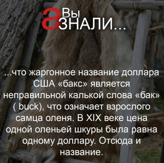 ГРУППА ВКОНТАКТЕ ЛЮБОПЫТНО_забавные факты