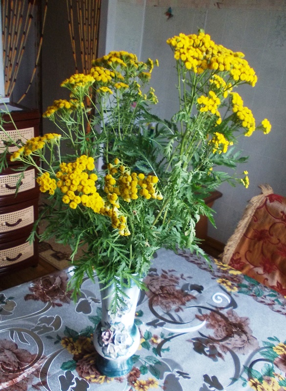 Пижма в букете
