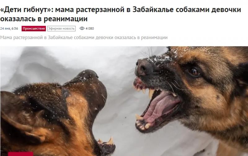Мать ребёнка в реанимации.