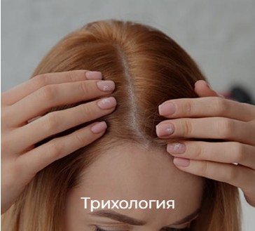 трихология