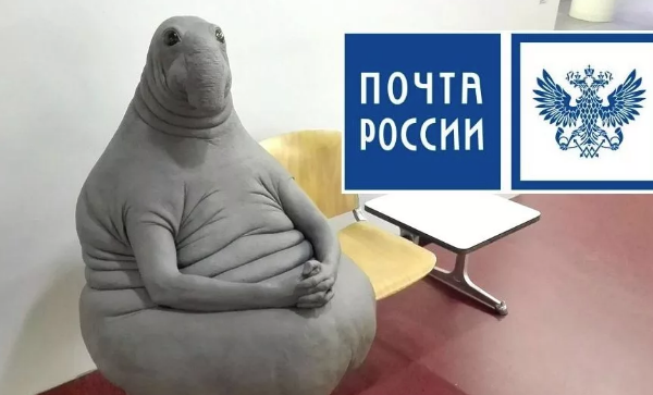жду сим карту по почте россии 