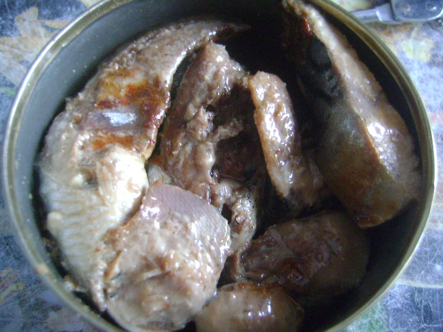 скумбрия и сельдь ооо коралл