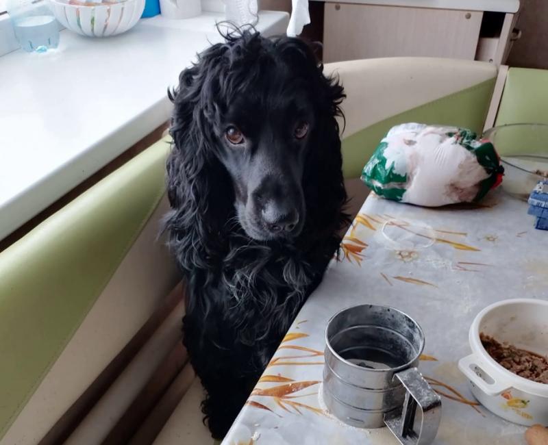 фото из домашней коллекции