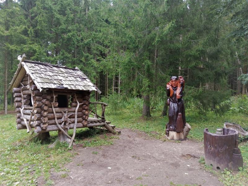 Дендропарк в Переславле. яга
