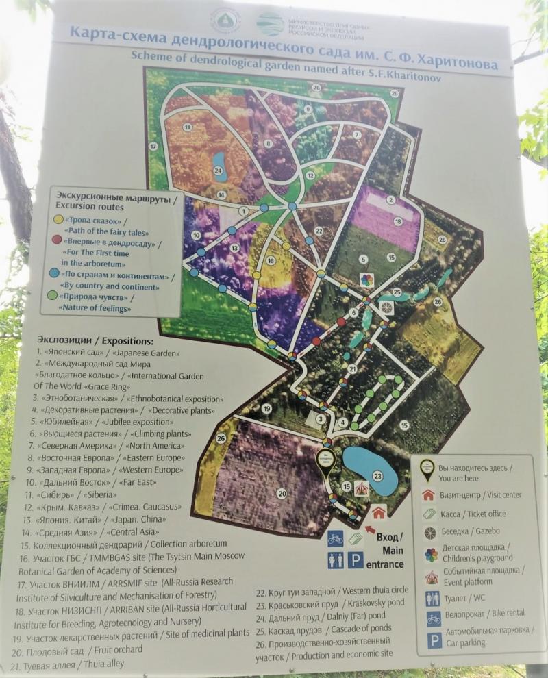 Дендропарк в Переславле. карта