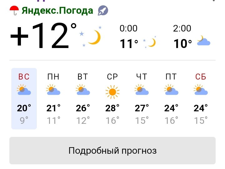 Точный прогноз 